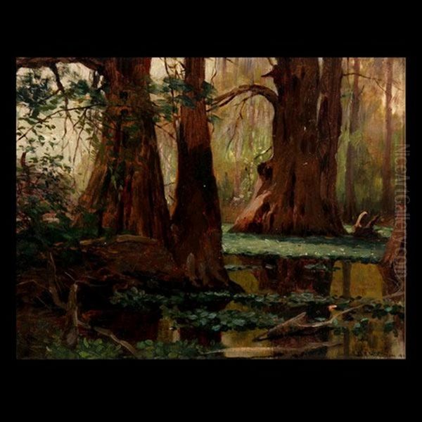 Florida Marsh - view 1