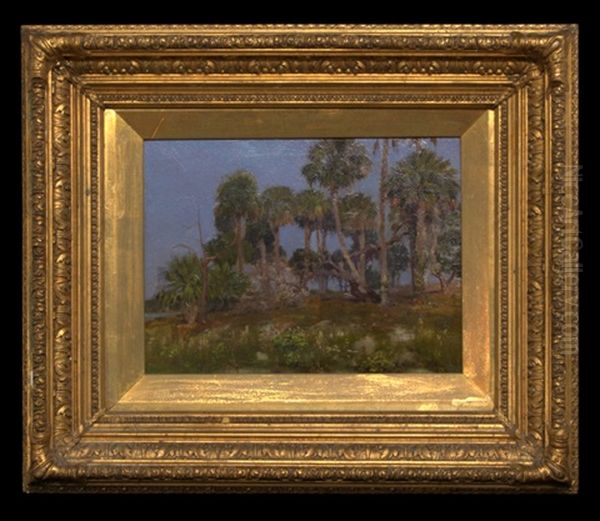 Florida Coast - view 1