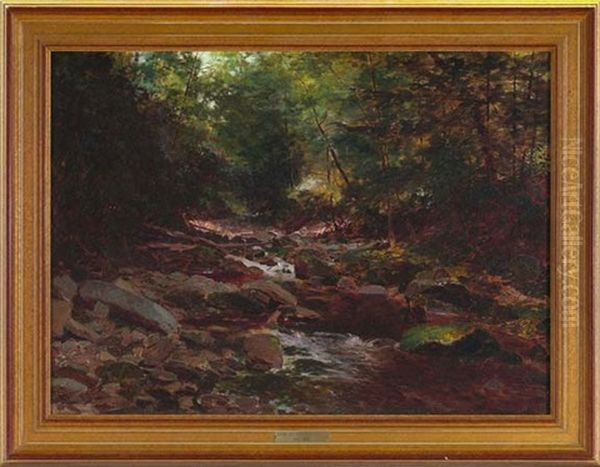 Forest Landscape With Rushing Stream - view 1