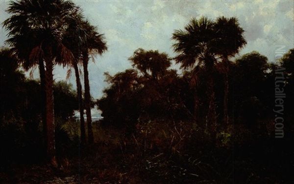 Florida Coastline - view 1