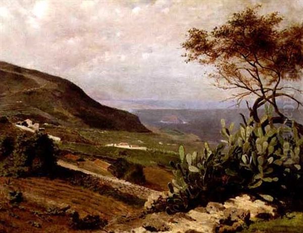 Mexican Landscape With Cactus - view 1