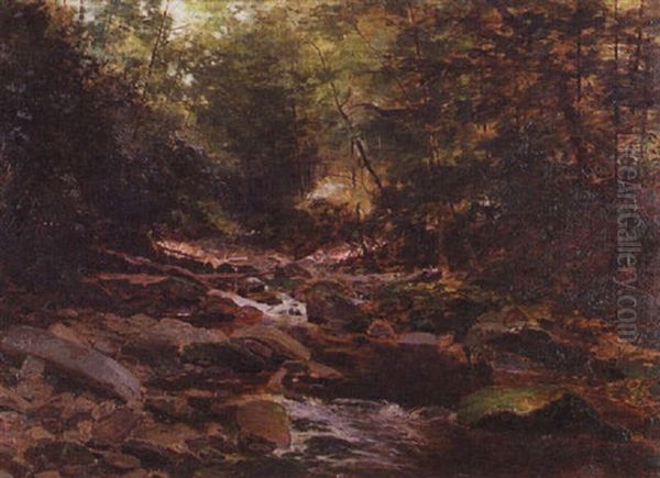 Forest Landscape With Rocky Stream - view 1