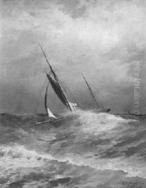 Sailboat Hard Starboard - view 1