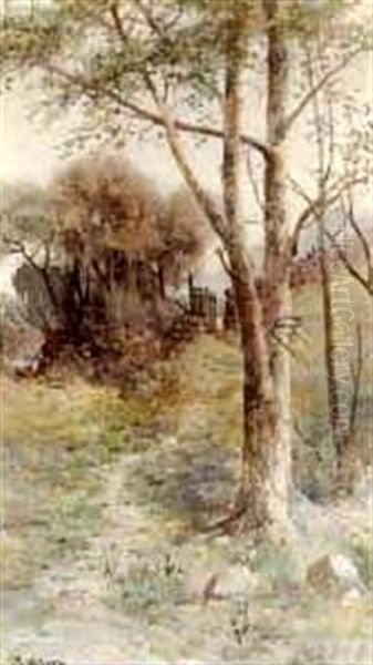 Landscape With Old Stone Fence - view 1
