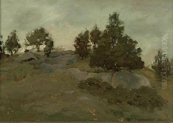 Rocky Landscape - view 1