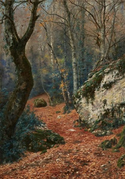 Foret De La Ste. Baume (forest Landscape In The Massif De La Sainte-baume Near Marseille) - view 1