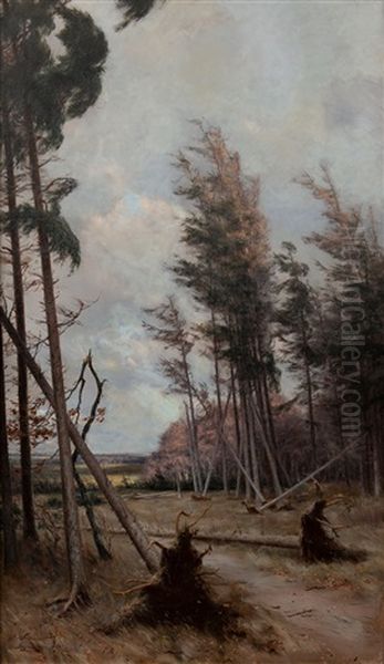 Forest Landscape - view 1