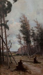 Forest Landscape by Johan Peter Von Wildenradt