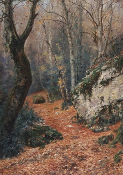 Waldlandschaft, Massif De La Sainte Baume - view 1