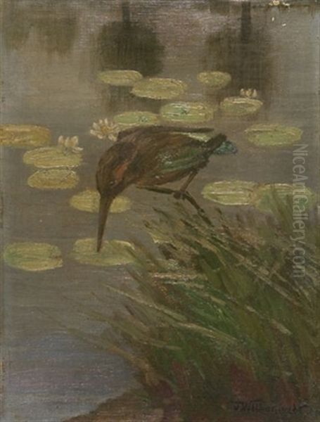 Eisvogel Im Schilf - view 1