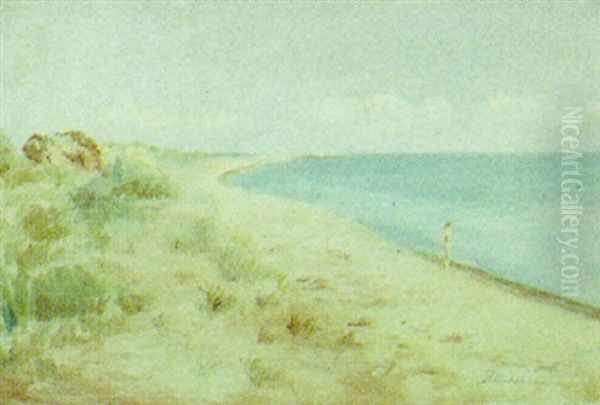 Nogen Mand Ved Skagen Strand - view 1