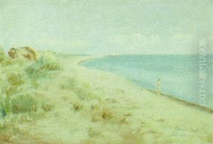 Nogen Mand Ved Skagen Strand