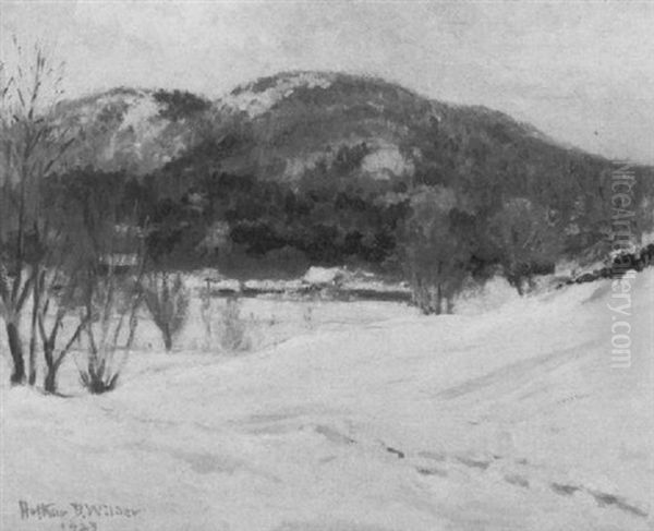 Snowy Landscape - view 1
