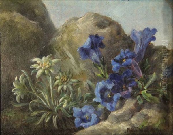 Edelweiss And Gentiana - view 1