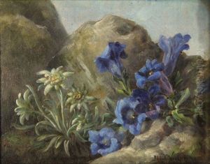 Edelweiss And Gentiana by Paula Wildhack