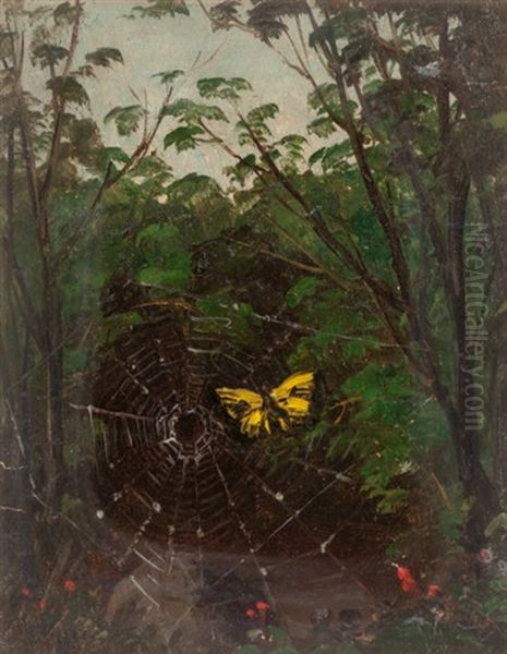 Butterfly In A Spider Web - view 1