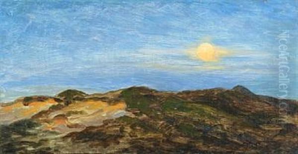 View From Skagen With Dunes In The Moonlight - view 1