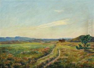 Scenery From Skagen