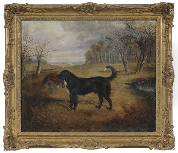 Dog In A Clearing With A Pheasant - view 1