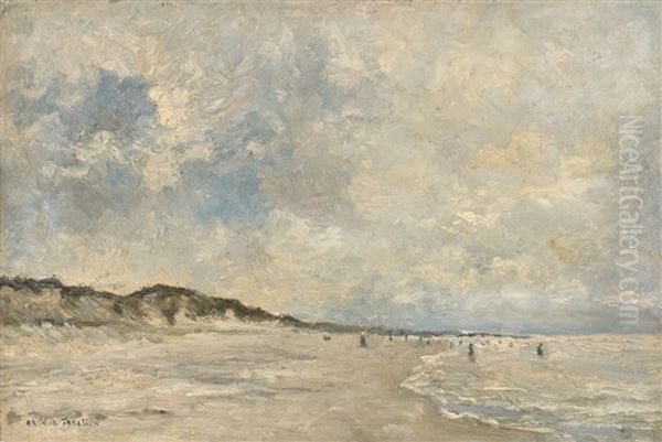 Baignade En Mer Du Nord - view 1