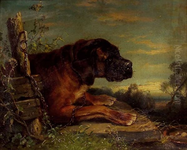 Der Einsame Wachhund - view 1