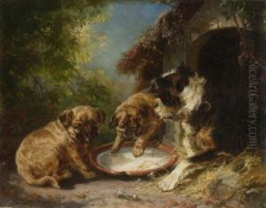 Zwei Welpen Mit Ihrer Mutter Vor Der Hundehutte Zwei Welpen Mit Ihrer Mutter Vor Der Hundehutte