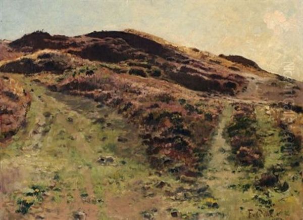 Heidelandschaft - view 1