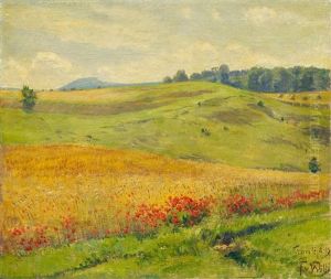 Sommerliche Felder Mit Bluhendem Mohn