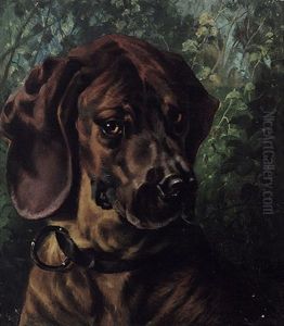 Portrait Eines Jagdhundes
