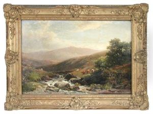 A Dartmoor Brook, Lydford, Devon