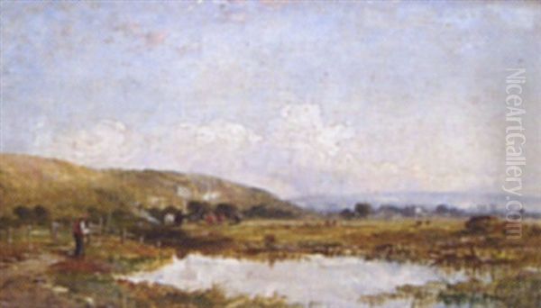Extensive Country Landscape - view 1