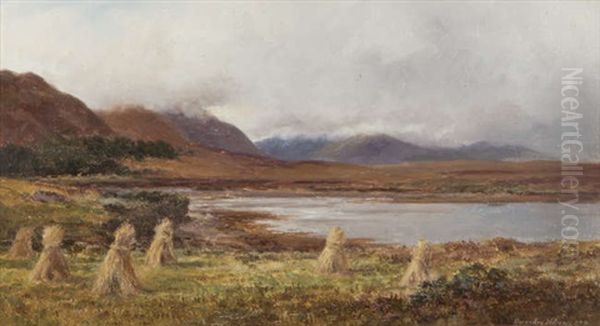 At Glendarary, Achill Sound, Mayo - view 1