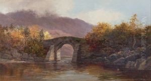 Brickeen Bridge, Killarney, Co. Kerry