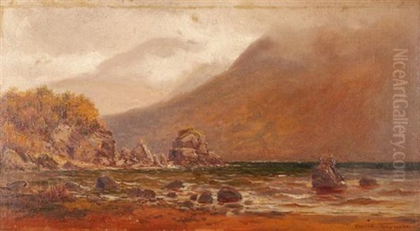 Victoria Rocks, Middle Lake, Killarney, County Kerry - view 1