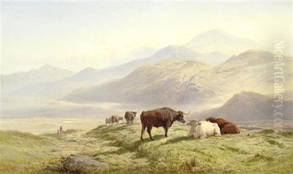 Near Dolgelly, North Wales - view 1