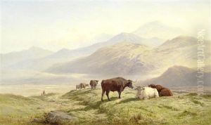 Near Dolgelly, North Wales