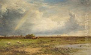 View Of Manchelsea Marshes