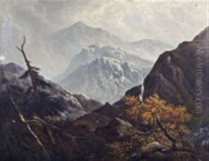 Mountain Scape