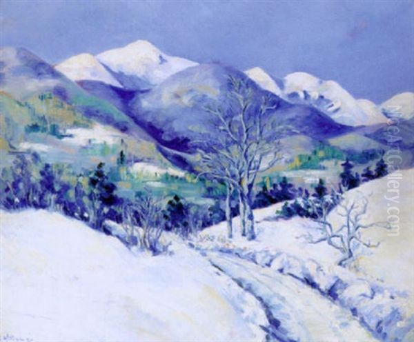 Snowy Landscape - view 1