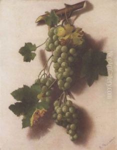 A Still Life Of Hanging Grapes A Still Life Of Hanging Grapes