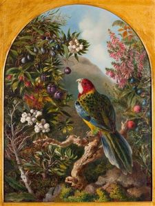 A Native Bird With Mountain Berries And Native Flora, Backed By Mount Wellington by Florence Williams