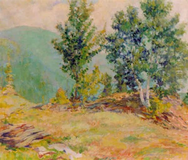 Mountain Landscape - view 1