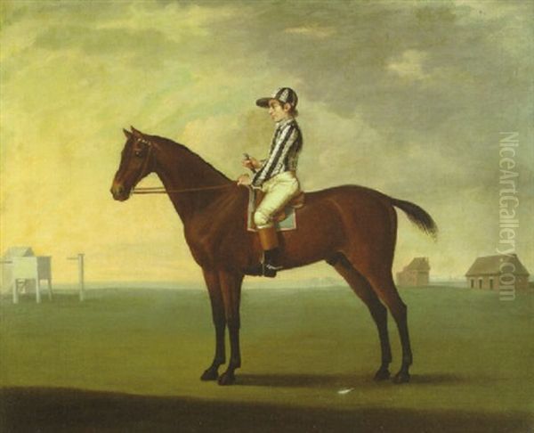 The Hon. Richard Vernon's "tortoise" With Jockey Up At Newmarket - view 1