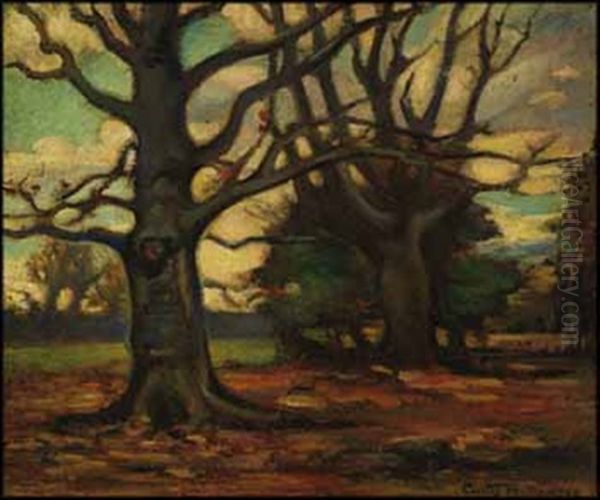 In The Forest - view 1