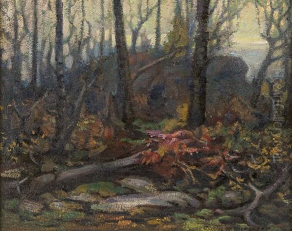Landscape - view 1