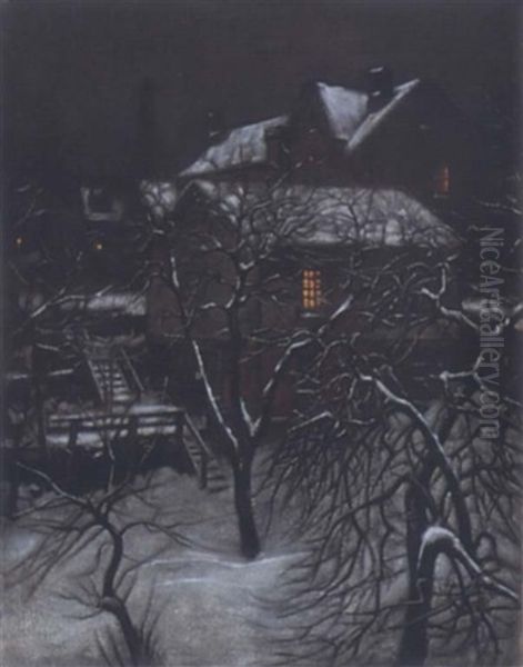 Snow Cobered Home At Evening - view 1