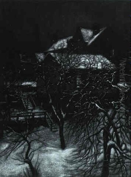 Snow-covered House On Dark Night - view 1