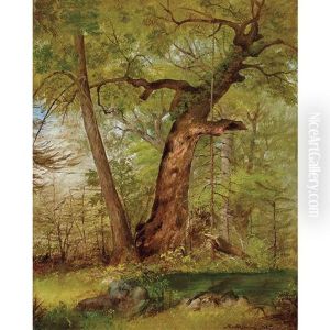 Landscape In Marbletown, Ulster County, New York