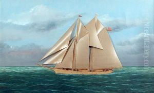 Marina by Thomas H. Willis