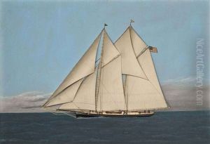 The Celebrated American Schooner Magic Under Full Sail by Thomas H. Willis